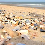 Savannah Beach And Racquet Club 319B By Tybee Beach Vacation Rentals
