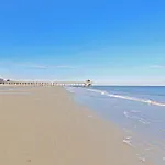 Dolphin Watch 6