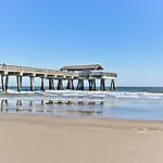 Dolphin Watch 6
