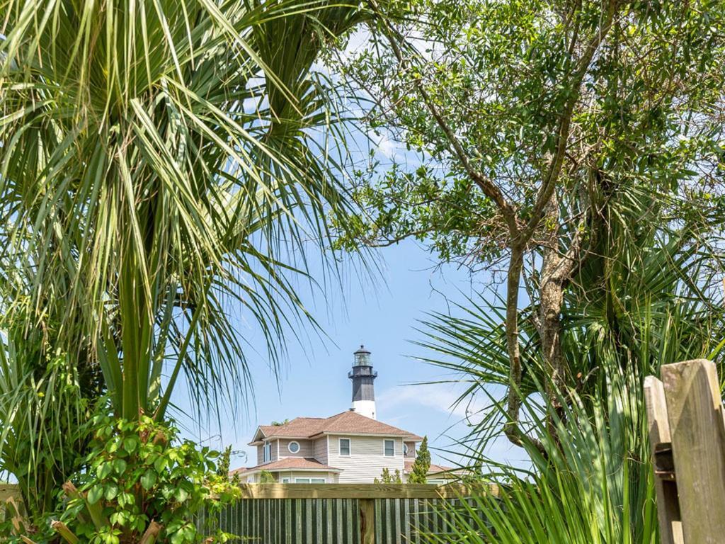 Bum * Tybee Island