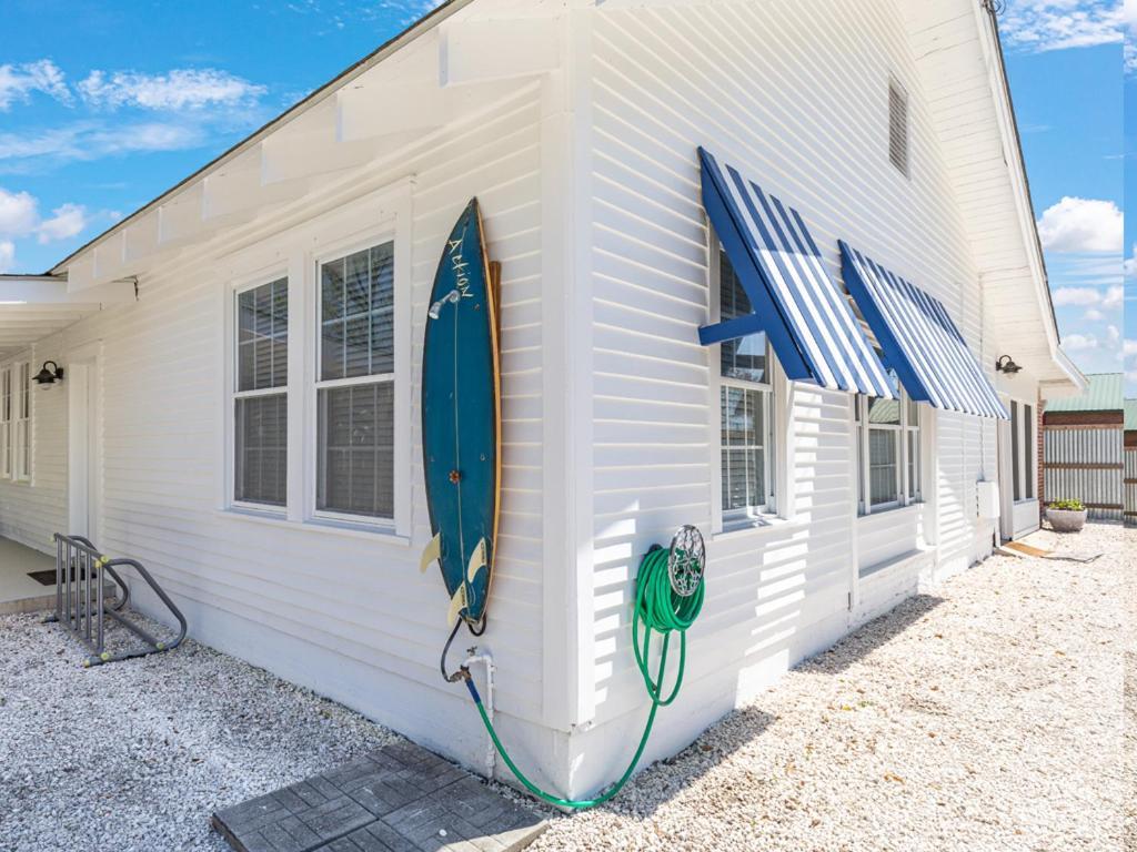 Bum * Tybee Island