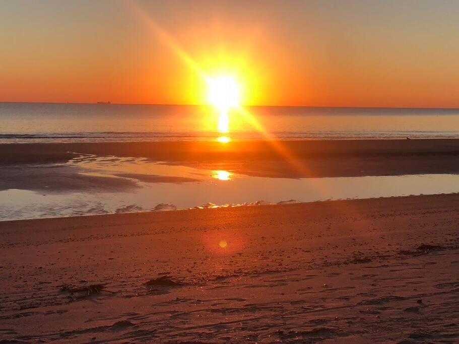 Tybee Sunshine ~ 50 Steps 'till Toes In The Apartment
