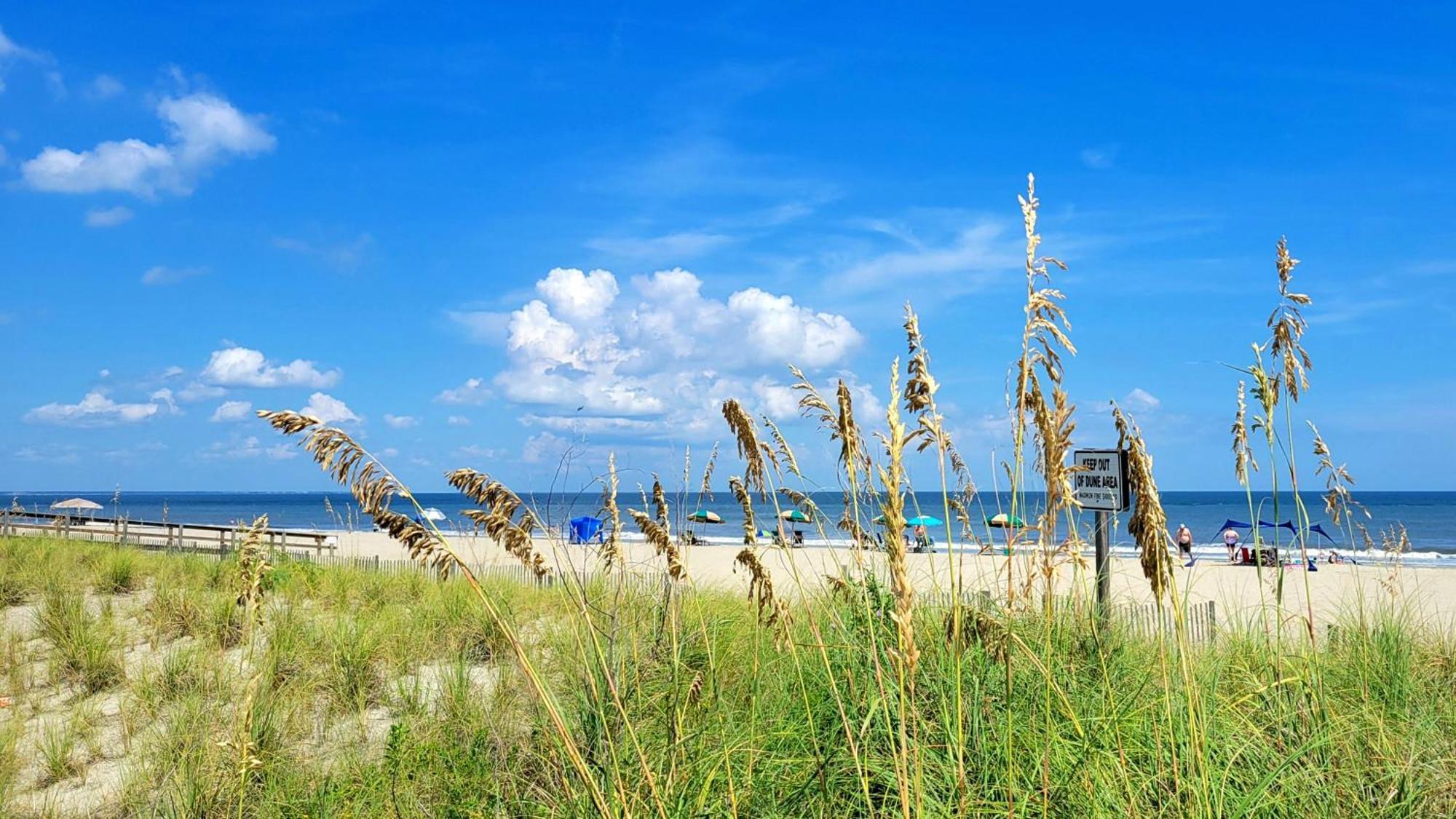 Desoto Club 307 By Tybee Vacation *