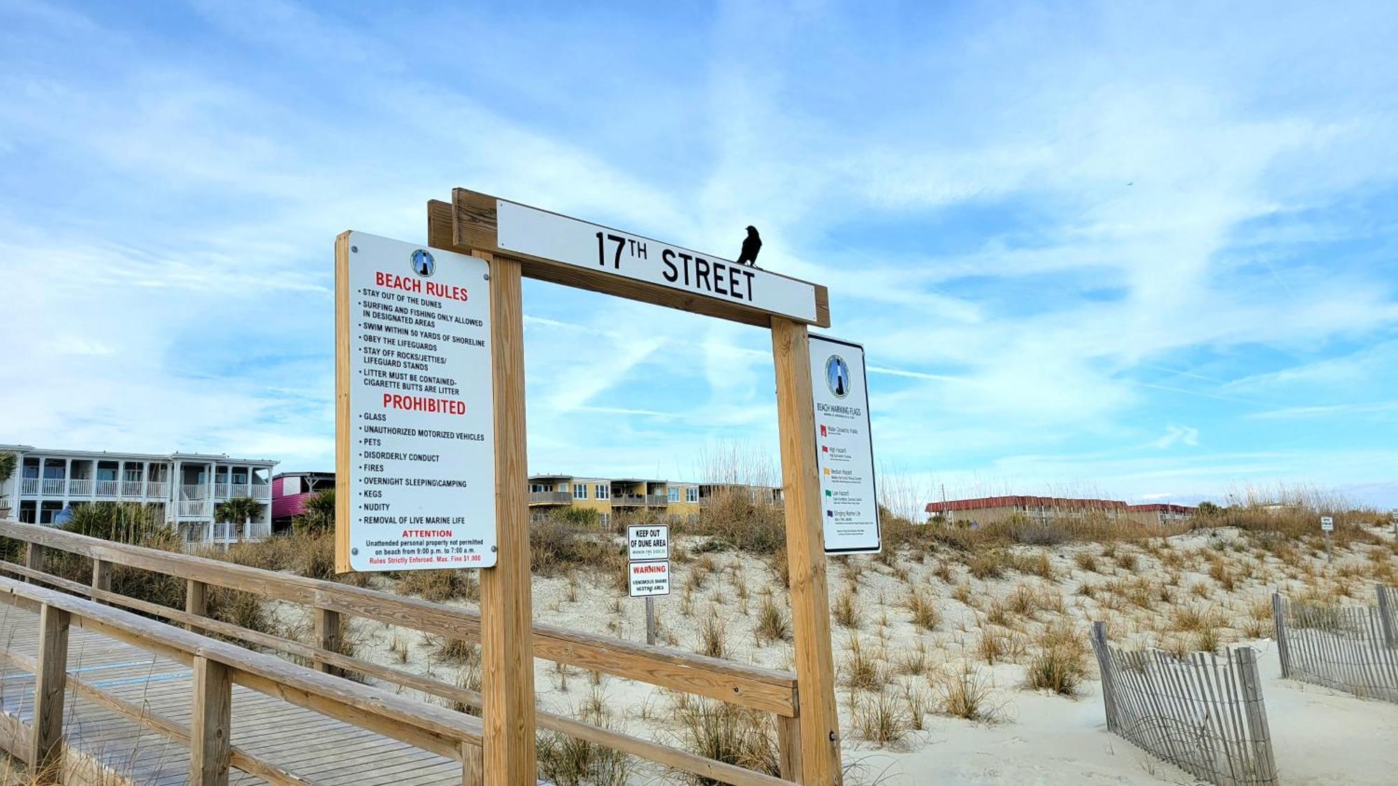 Sandpiper 101 By Tybee Vacation Holiday home *