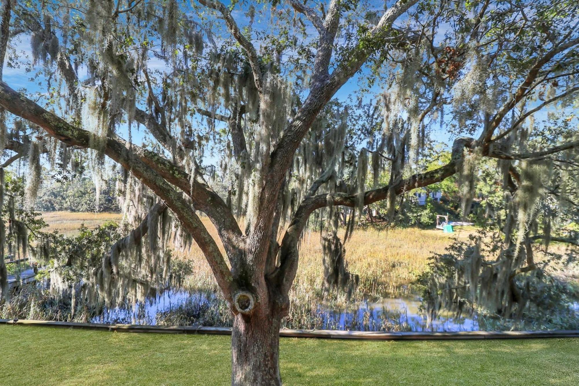 Oyster Cove - Close To Everything * Tybee Island