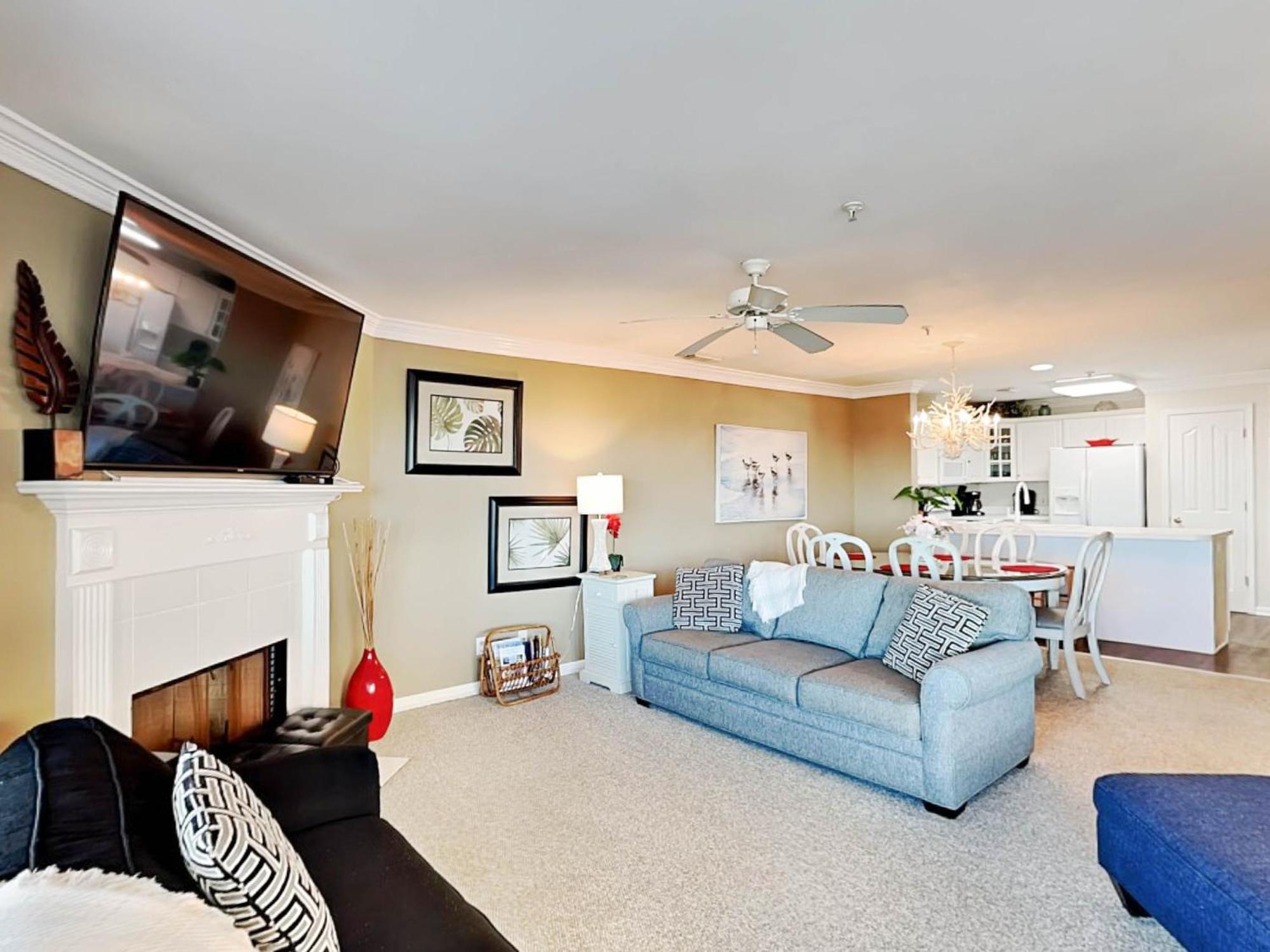 Apartment Dolphin Watch 7 *