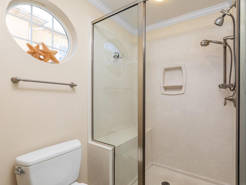 Apartment Dolphin Watch 6 *