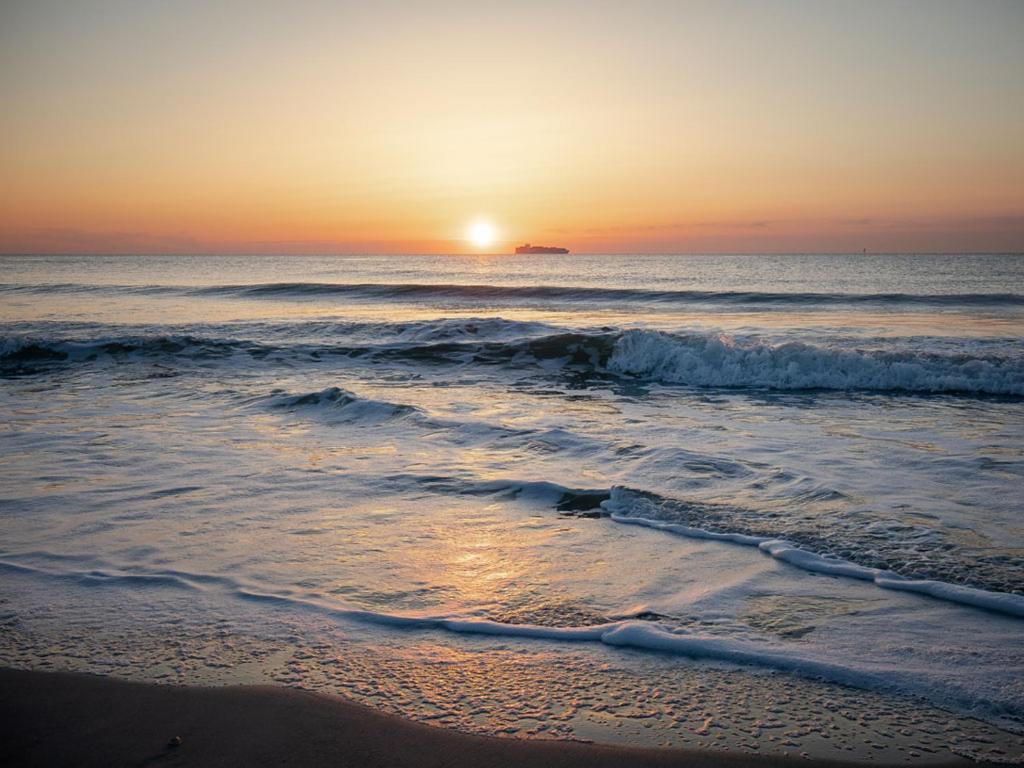 The Vue 228 * Tybee Island
