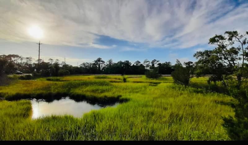 Blue Heron Trail Townhouse Tybee Island