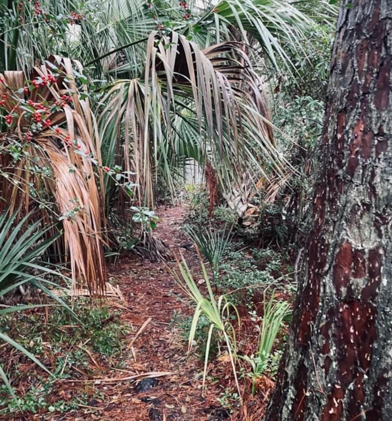 Blue Heron Trail Townhouse Apartment Tybee Island