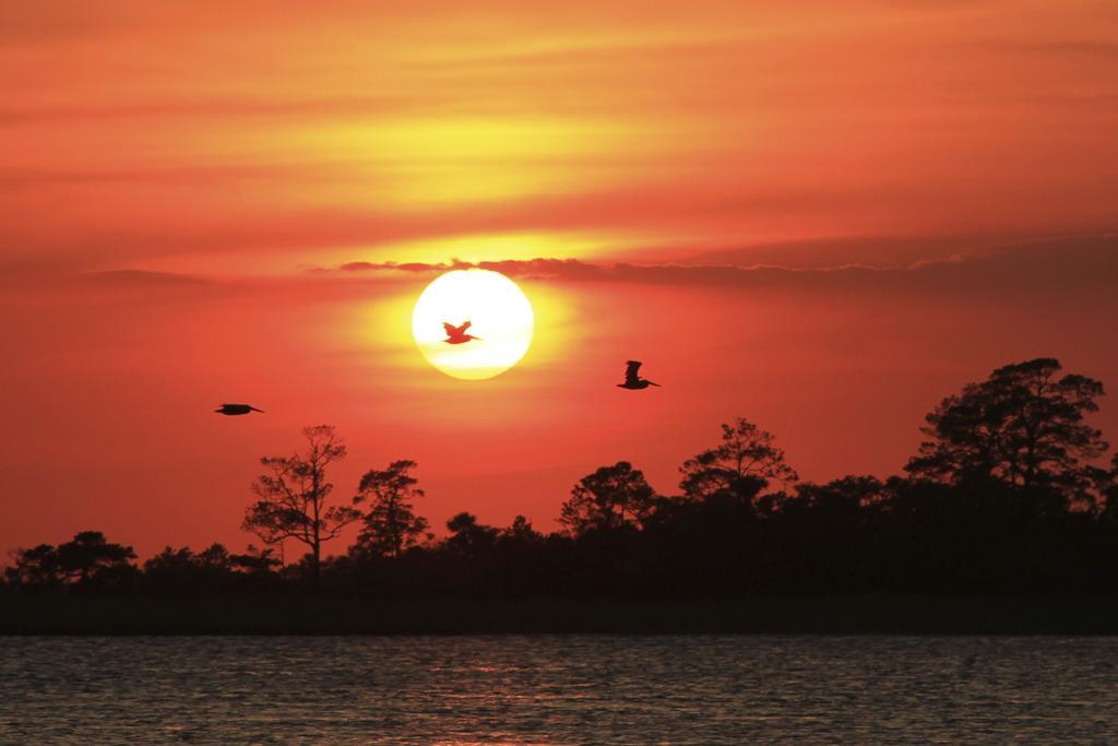Hotel Tybee