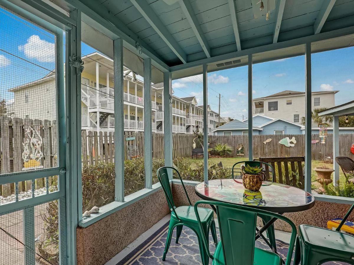 Tybee Tabby * Tybee Island